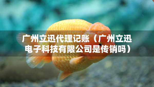 广州立迅代理记账（广州立迅电子科技有限公司是传销吗）