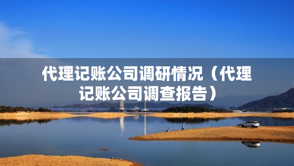代理记账公司调研情况（代理记账公司调查报告）