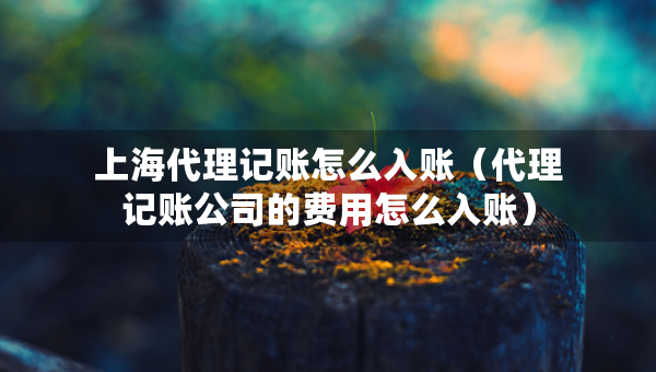上海代理记账怎么入账（代理记账公司的费用怎么入账）