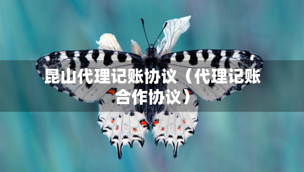 昆山代理记账协议（代理记账合作协议）