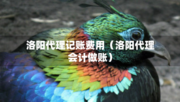 洛阳代理记账费用（洛阳代理会计做账）