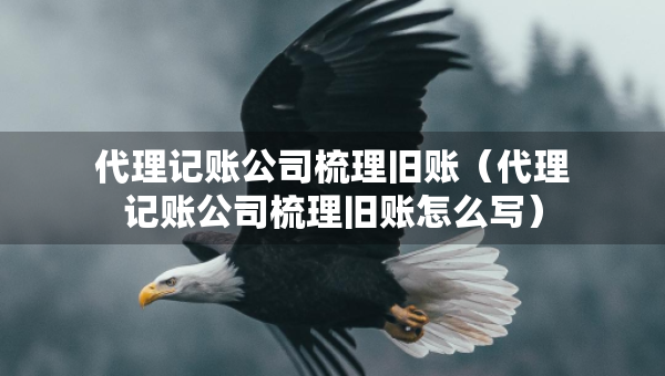 代理记账公司梳理旧账（代理记账公司梳理旧账怎么写）