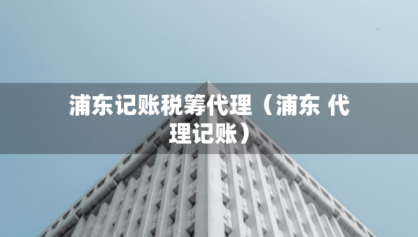 浦东记账税筹代理（浦东 代理记账）