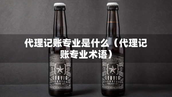 代理记账专业是什么（代理记账专业术语）