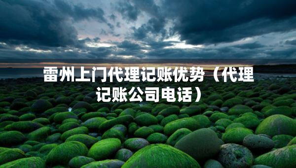 雷州上门代理记账优势（代理记账公司电话）