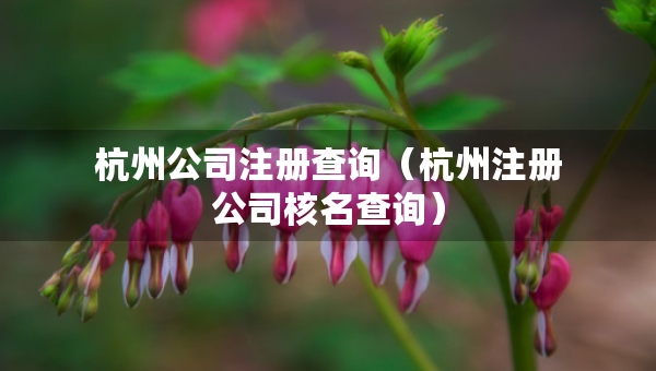 杭州公司注册查询（杭州注册公司核名查询）