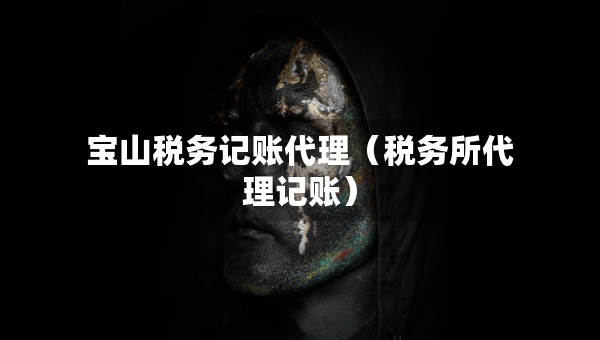 宝山税务记账代理（税务所代理记账）