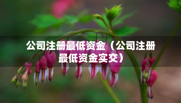 公司注册最低资金（公司注册最低资金实交）