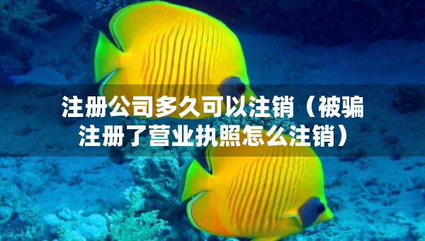 注册公司多久可以注销（被骗注册了营业执照怎么注销）
