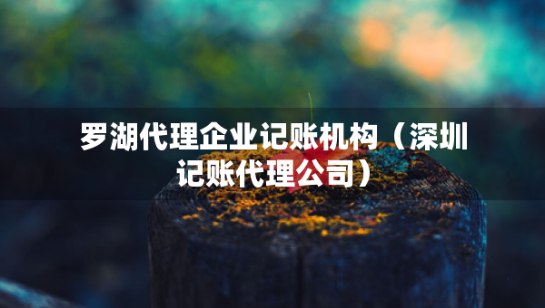 罗湖代理企业记账机构（深圳记账代理公司）