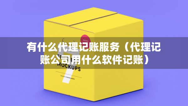 有什么代理记账服务（代理记账公司用什么软件记账）