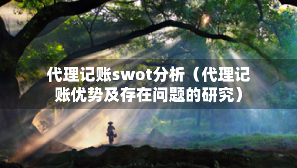 代理记账swot分析（代理记账优势及存在问题的研究）