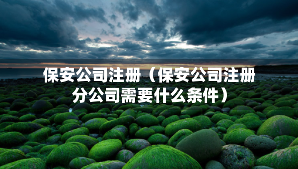 保安公司注册（保安公司注册分公司需要什么条件）