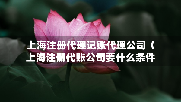 上海注册代理记账代理公司（上海注册代账公司要什么条件）