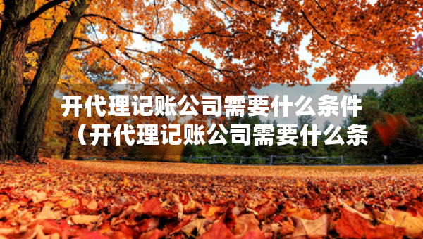 开代理记账公司需要什么条件（开代理记账公司需要什么条件才能开）