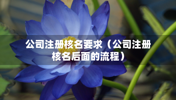 公司注册核名要求（公司注册核名后面的流程）