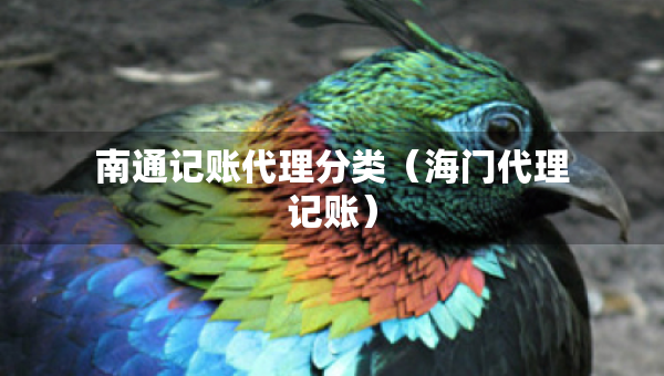 南通记账代理分类（海门代理记账）