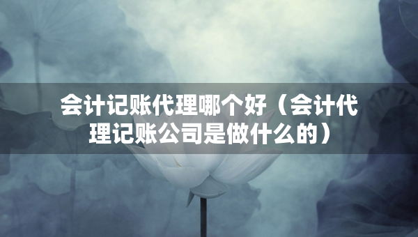 会计记账代理哪个好（会计代理记账公司是做什么的）