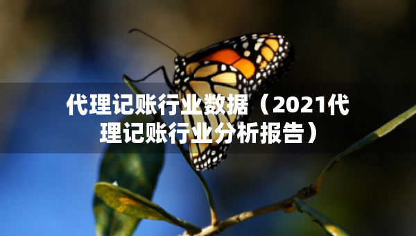 代理记账行业数据（2021代理记账行业分析报告）