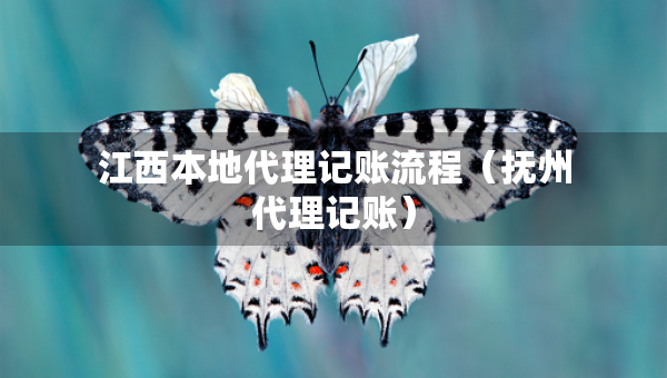 江西本地代理记账流程（抚州代理记账）