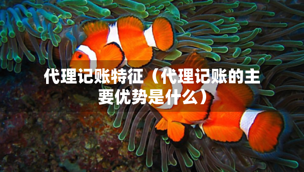 代理记账特征（代理记账的主要优势是什么）