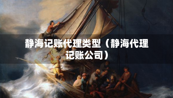静海记账代理类型（静海代理记账公司）