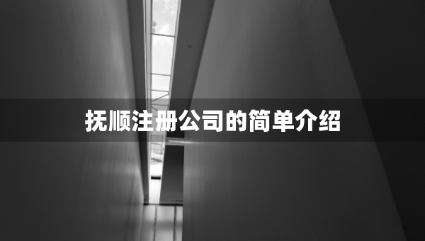 抚顺注册公司的简单介绍