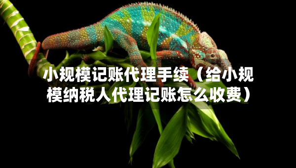 小规模记账代理手续（给小规模纳税人代理记账怎么收费）