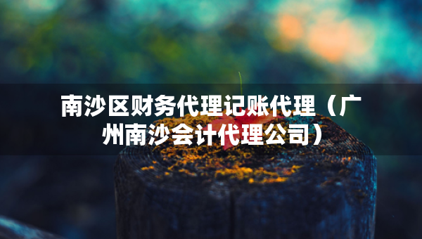 南沙区财务代理记账代理（广州南沙会计代理公司）