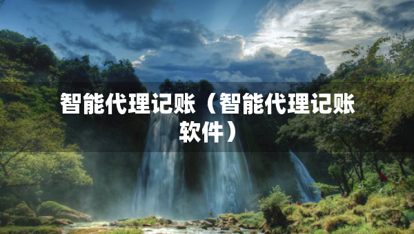 智能代理记账（智能代理记账软件）
