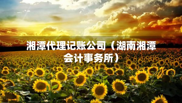 湘潭代理记账公司（湖南湘潭会计事务所）