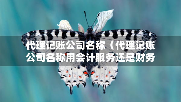 代理记账公司名称（代理记账公司名称用会计服务还是财务咨询）
