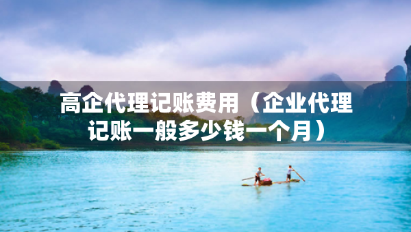 高企代理记账费用（企业代理记账一般多少钱一个月）