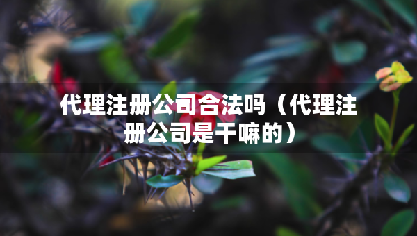代理注册公司合法吗（代理注册公司是干嘛的）