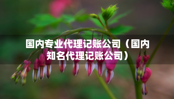 国内专业代理记账公司（国内知名代理记账公司）