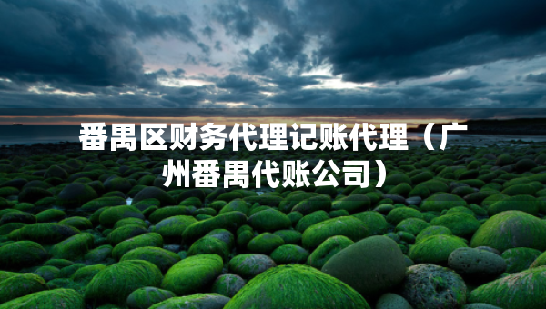 番禺区财务代理记账代理（广州番禺代账公司）