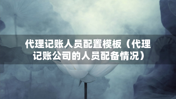 代理记账人员配置模板（代理记账公司的人员配备情况）