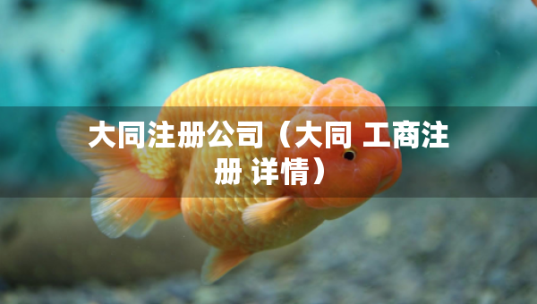 大同注册公司（大同 工商注册 详情）