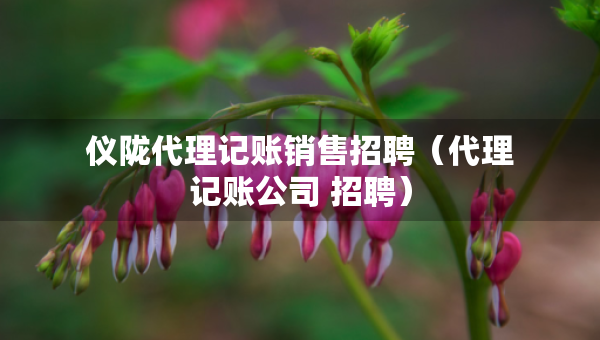仪陇代理记账销售招聘（代理记账公司 招聘）