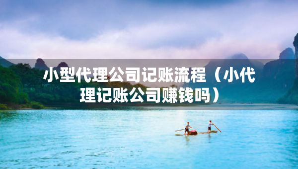 小型代理公司记账流程（小代理记账公司赚钱吗）