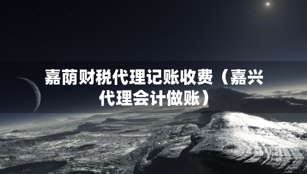 嘉荫财税代理记账收费（嘉兴代理会计做账）
