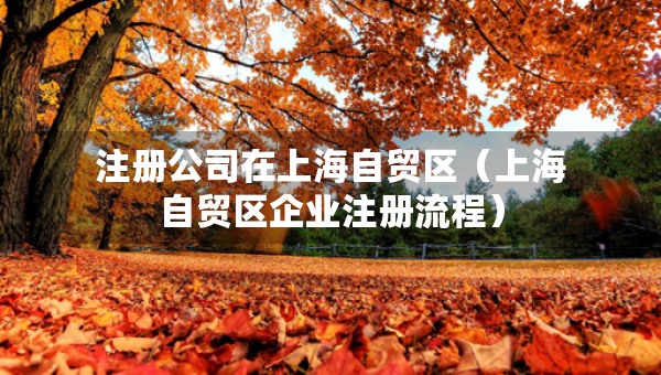 注册公司在上海自贸区（上海自贸区企业注册流程）