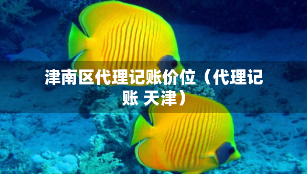 津南区代理记账价位（代理记账 天津）