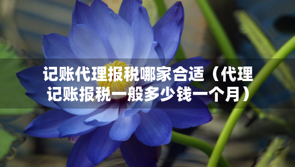 记账代理报税哪家合适(代理记账报税一般多少钱一个月) 记账代理报税哪家合适(代理记账报税一般多少钱一个月)