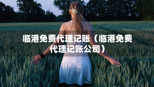 临港免费代理记账（临港免费代理记账公司）