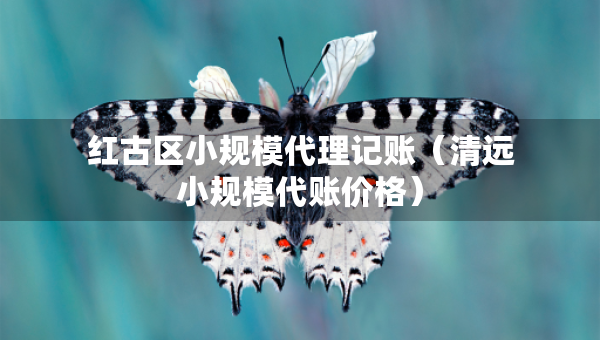 红古区小规模代理记账（清远小规模代账价格）
