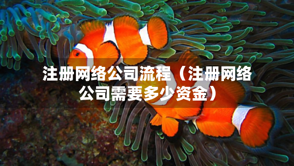 注册网络公司流程（注册网络公司需要多少资金）