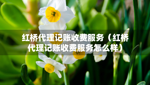 红桥代理记账收费服务（红桥代理记账收费服务怎么样）