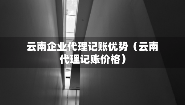 云南企业代理记账优势（云南代理记账价格）