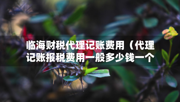 临海财税代理记账费用（代理记账报税费用一般多少钱一个月）